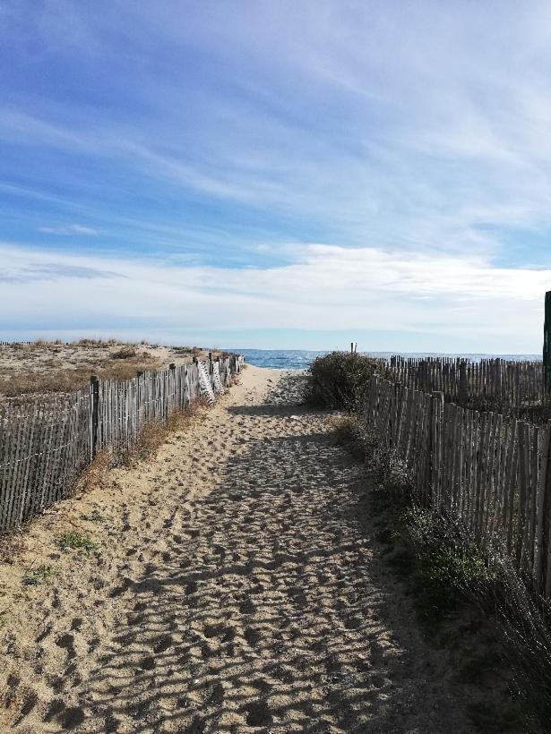 לה ברקרה Cap De Mer - Vue Sur Mer - Une Chambre - Une Terrasse - Acces Direct Plage - Commerces A Proximites מראה חיצוני תמונה
